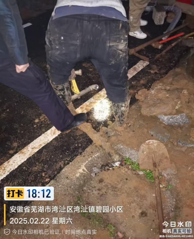 保民安3.png